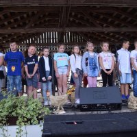 Zobacz w powiększeniu: Dożynki Gminne 2019 (44)
