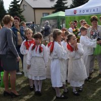 Zobacz w powiększeniu: Dożynki Gminne 2019 (46)