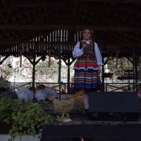Zobacz w powiększeniu: Dożynki Gminne 2019 (47)