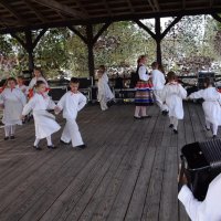 Zobacz w powiększeniu: Dożynki Gminne 2019 (49)