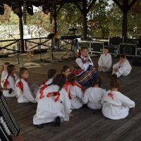 Zobacz w powiększeniu: Dożynki Gminne 2019 (50)