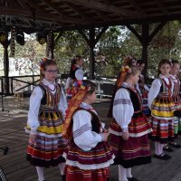 Zobacz w powiększeniu: Dożynki Gminne 2019 (51)