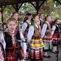 Zobacz w powiększeniu: Dożynki Gminne 2019 (52)