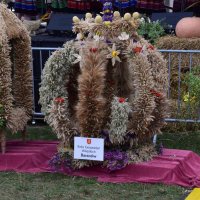 Zobacz w powiększeniu: Dożynki Gminne 2019 (58)