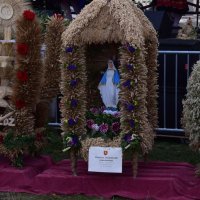 Zobacz w powiększeniu: Dożynki Gminne 2019 (59)