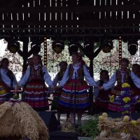 Zobacz w powiększeniu: Dożynki Gminne 2019 (62)
