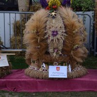 Zobacz w powiększeniu: Dożynki Gminne 2019 (64)