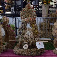 Zobacz w powiększeniu: Dożynki Gminne 2019 (65)