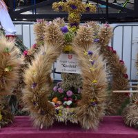 Zobacz w powiększeniu: Dożynki Gminne 2019 (66)