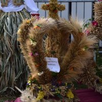 Zobacz w powiększeniu: Dożynki Gminne 2019 (67)
