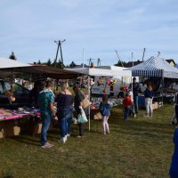 Zobacz w powiększeniu: Dożynki Gminne 2019 (70)