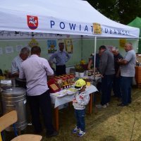 Zobacz w powiększeniu: Dożynki Gminne 2019 (72)