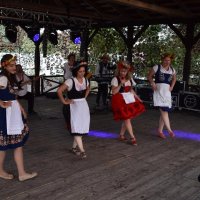 Zobacz w powiększeniu: Dożynki Gminne 2019 (5)