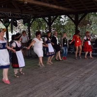 Zobacz w powiększeniu: Dożynki Gminne 2019 (6)