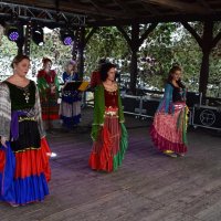 Zobacz w powiększeniu: Dożynki Gminne 2019 (24)