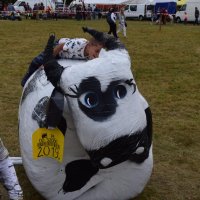 Zobacz w powiększeniu: Dożynki Gminne 2019 (28)