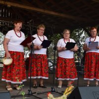 Zobacz w powiększeniu: Dożynki Gminne 2019 (32)