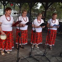 Zobacz w powiększeniu: Dożynki Gminne 2019 (33)