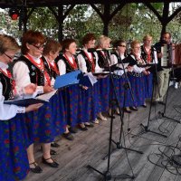 Zobacz w powiększeniu: Dożynki Gminne 2019 (34)
