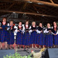 Zobacz w powiększeniu: Dożynki Gminne 2019 (36)