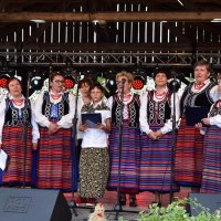 Zobacz w powiększeniu: Dożynki Gminne 2019 (37)