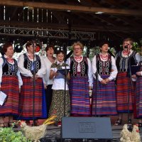 Zobacz w powiększeniu: Dożynki Gminne 2019 (38)