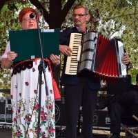Zobacz w powiększeniu: Dożynki Gminne 2019 (39)
