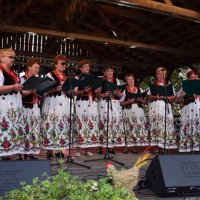 Zobacz w powiększeniu: Dożynki Gminne 2019 (40)