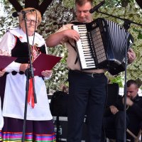 Zobacz w powiększeniu: Dożynki Gminne 2019 (41)