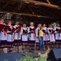 Zobacz w powiększeniu: Dożynki Gminne 2019 (42)