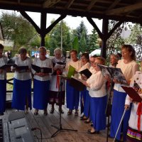 Zobacz w powiększeniu: Dożynki Gminne 2019 (45)