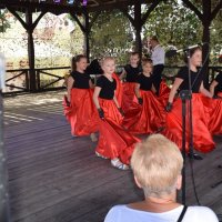 Zobacz w powiększeniu: Międzynarodowy Festiwal Tańca GODEL 2019 (51)