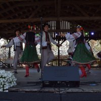 Zobacz w powiększeniu: Międzynarodowy Festiwal Tańca GODEL 2019 (5)