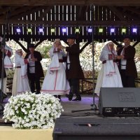 Zobacz w powiększeniu: Międzynarodowy Festiwal Tańca GODEL 2019 (20)