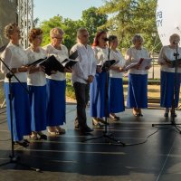 Zobacz w powiększeniu: 100 lecie Bitwy Warszawskiej oraz 100 lecie wizyty Marszałka Józefa Piłsudskiego w Baranowie fotorelacja (25)