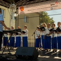 Zobacz w powiększeniu: 100 lecie Bitwy Warszawskiej oraz 100 lecie wizyty Marszałka Józefa Piłsudskiego w Baranowie fotorelacja (32)