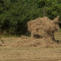 Zobacz w powiększeniu: 100 lecie Bitwy Warszawskiej oraz 100 lecie wizyty Marszałka Józefa Piłsudskiego w Baranowie fotorelacja (53)