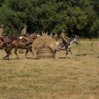 Zobacz w powiększeniu: 100 lecie Bitwy Warszawskiej oraz 100 lecie wizyty Marszałka Józefa Piłsudskiego w Baranowie fotorelacja (12)