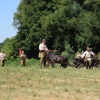 Zobacz w powiększeniu: 100 lecie Bitwy Warszawskiej oraz 100 lecie wizyty Marszałka Józefa Piłsudskiego w Baranowie (49)