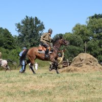 Zobacz w powiększeniu: 100 lecie Bitwy Warszawskiej oraz 100 lecie wizyty Marszałka Józefa Piłsudskiego w Baranowie (62)