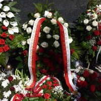 Zobacz w powiększeniu: 100 lecie Bitwy Warszawskiej oraz 100 lecie wizyty Marszałka Józefa Piłsudskiego w Baranowie (8)