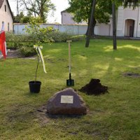 Zobacz w powiększeniu: BARANÓW UCZCIŁ WIELKICH POLAKÓW (2)