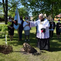 Zobacz w powiększeniu: BARANÓW UCZCIŁ WIELKICH POLAKÓW (17)