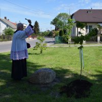 Zobacz w powiększeniu: BARANÓW UCZCIŁ WIELKICH POLAKÓW (18)