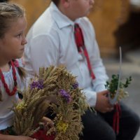Zobacz w powiększeniu: Dożynki gminne 2020 część 1 (32)