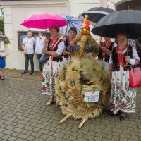 Zobacz w powiększeniu: Dożynki gminne 2020 część 1 (63)