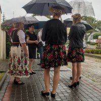 Zobacz w powiększeniu: Dożynki gminne 2020 część 1 (68)