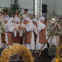 Zobacz w powiększeniu: Dożynki gminne 2020 część 2 (9)