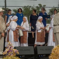 Zobacz w powiększeniu: Dożynki gminne 2020 część 2 (11)