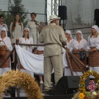 Zobacz w powiększeniu: Dożynki gminne 2020 część 2 (12)